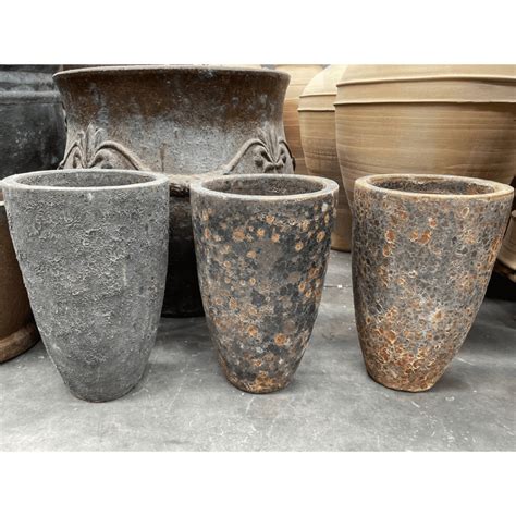 large plant pot nz.
